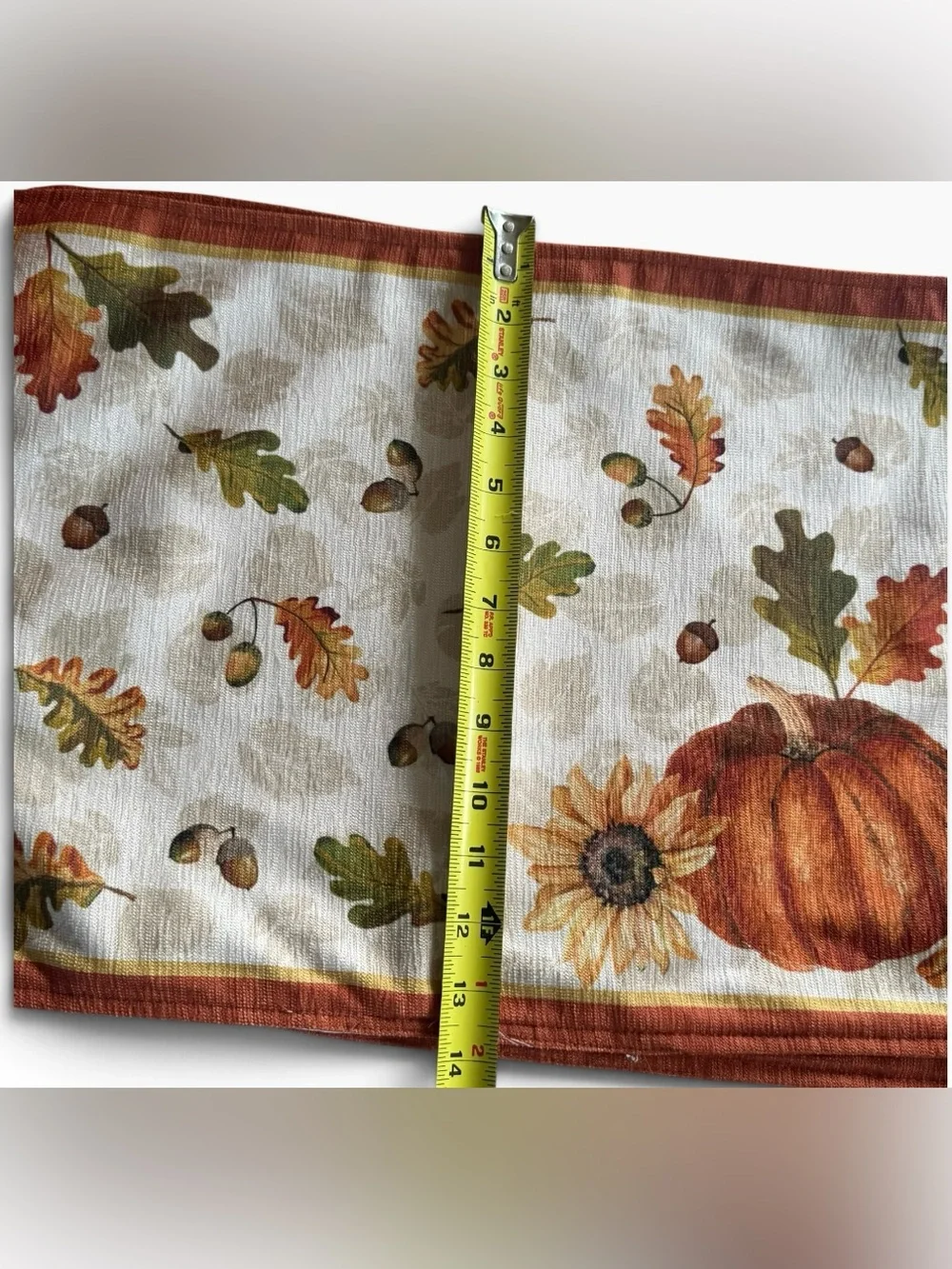 Nicole Miller Fall Pumpkin Placemats Set of 4